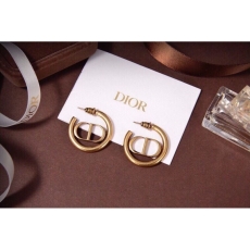 Christian Dior Earrings